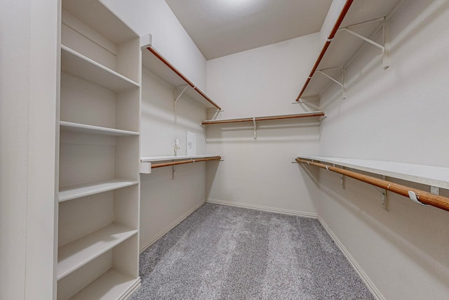 spacious closet with carpet flooring