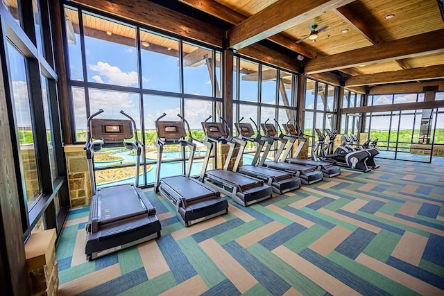 workout area featuring carpet flooring, floor to ceiling windows, ceiling fan, and wood ceiling