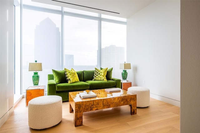 interior space featuring light wood-type flooring and expansive windows