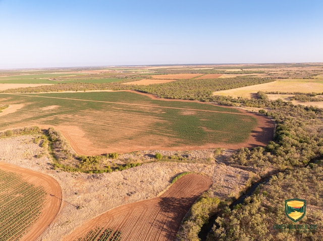 TBD County Road 158, Sylvester TX, 79560 land for sale