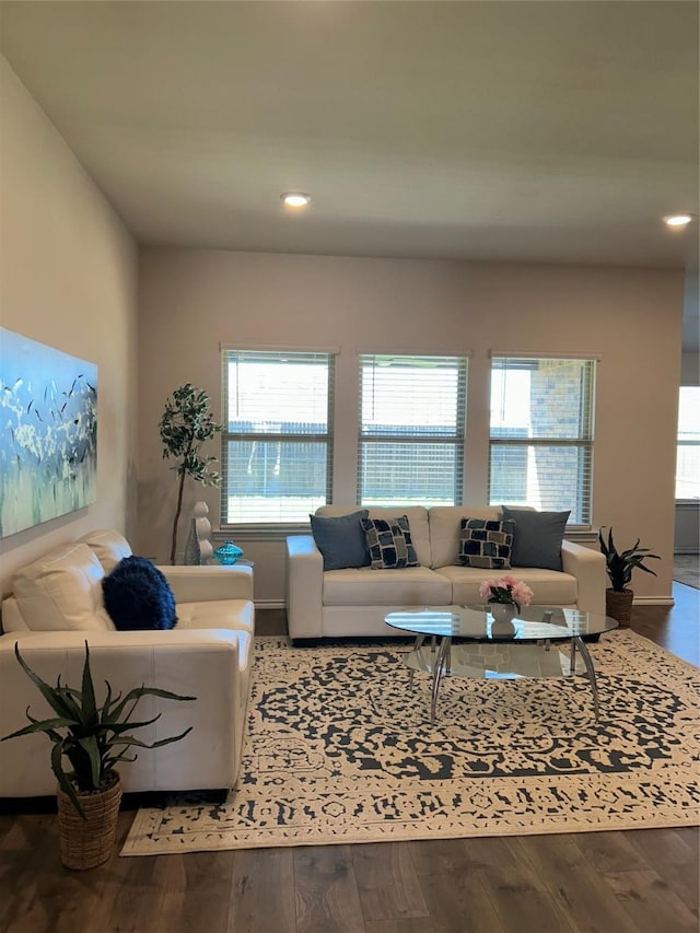 living room with hardwood / wood-style floors