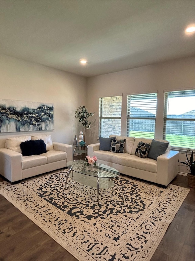 living room featuring hardwood / wood-style flooring