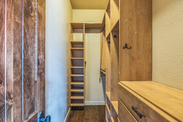 spacious closet featuring dark hardwood / wood-style floors