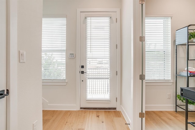 entryway featuring a healthy amount of sunlight and light wood-type flooring