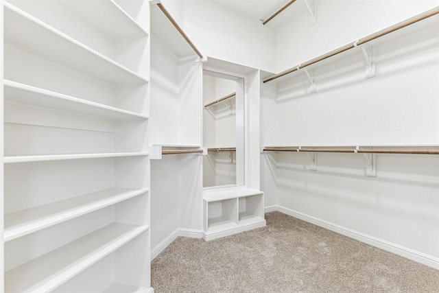 walk in closet featuring carpet flooring