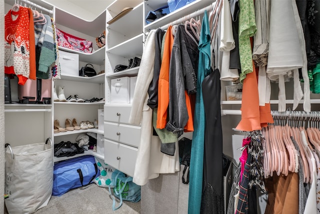 view of spacious closet