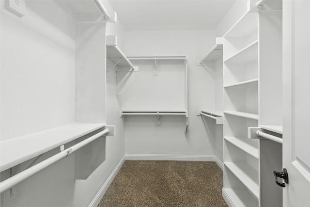 spacious closet featuring carpet floors