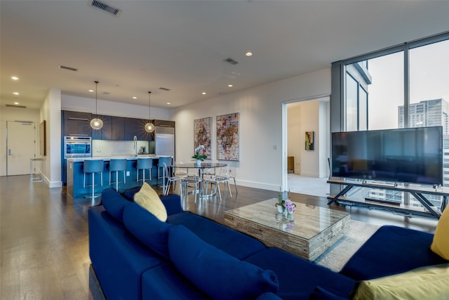 living room featuring sink and hardwood / wood-style floors