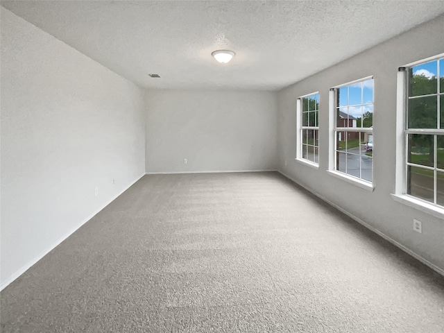 carpeted spare room with a textured ceiling and a wealth of natural light