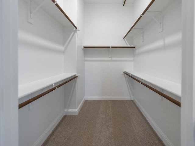 spacious closet featuring carpet floors