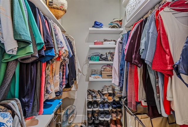 view of walk in closet