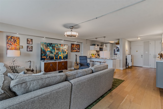 living room with light hardwood / wood-style flooring and track lighting