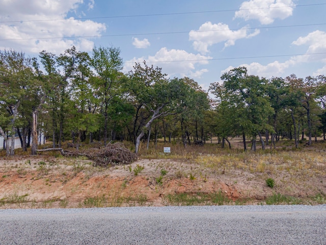 Listing photo 2 for 320 Rolling Bend Rd, Alvord TX 76225