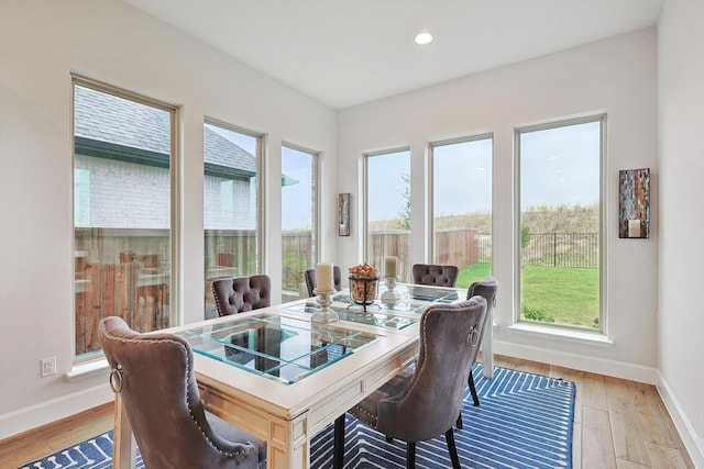 dining area with light hardwood / wood-style flooring