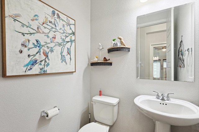 bathroom with sink and toilet