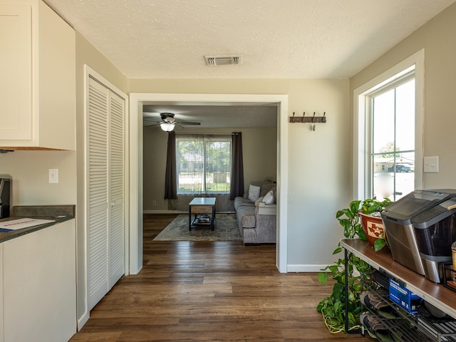 hall featuring dark hardwood / wood-style floors and a textured ceiling