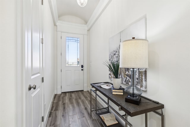 foyer featuring hardwood / wood-style floors