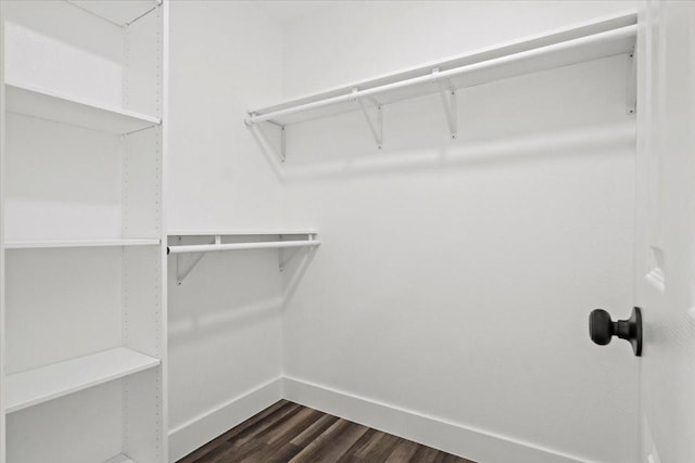 spacious closet with dark wood-style floors