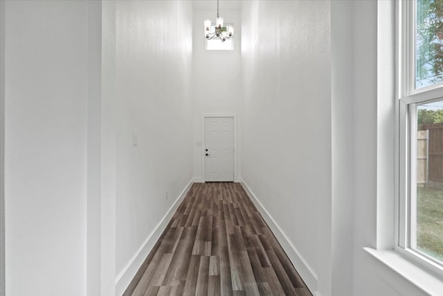 hall featuring an inviting chandelier, plenty of natural light, and dark wood-type flooring