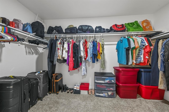 spacious closet featuring carpet floors