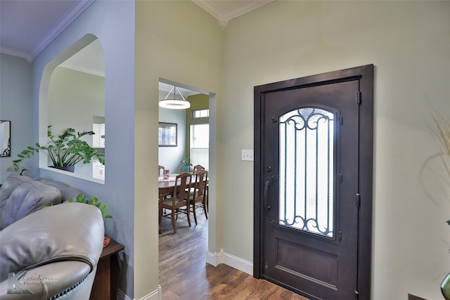 foyer featuring dark hardwood / wood-style floors, ornamental molding, and a healthy amount of sunlight