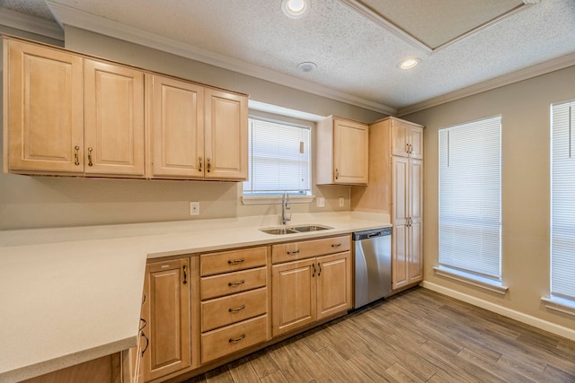 kitchen with sink, stainless steel dishwasher, crown molding, a textured ceiling, and light wood-type flooring