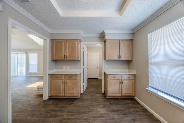 kitchen featuring light brown cabinets, a textured ceiling, dark hardwood / wood-style floors, and crown molding