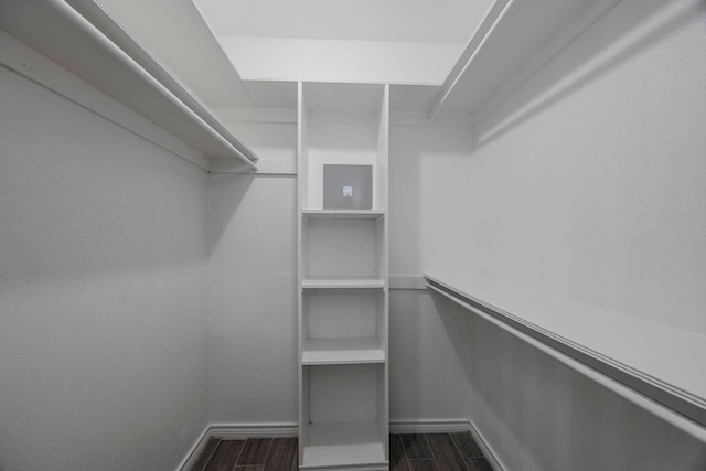 walk in closet with dark wood-type flooring