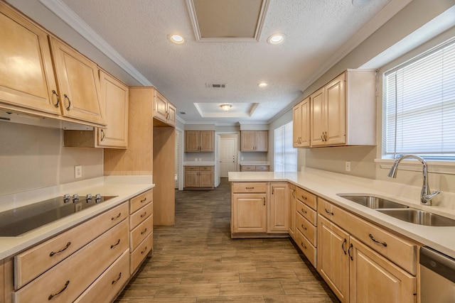 kitchen with black electric cooktop, sink, a textured ceiling, and light brown cabinets