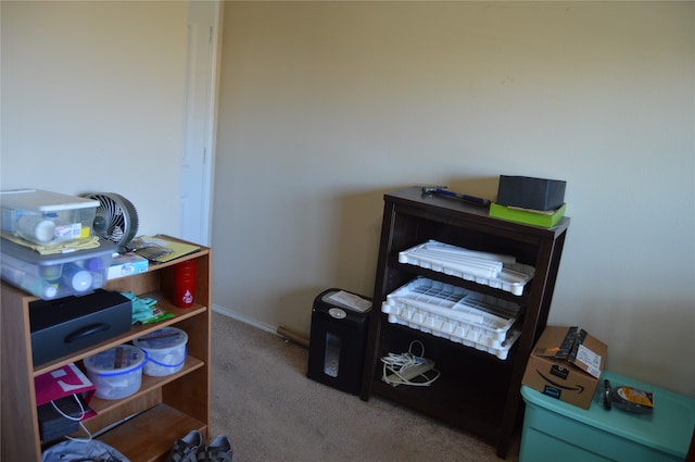 bedroom with carpet flooring