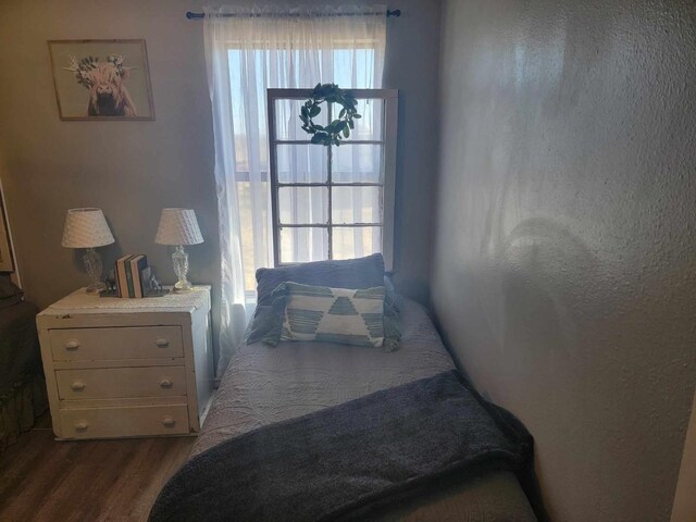 bedroom featuring multiple windows and wood-type flooring