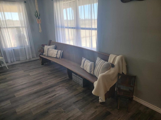 living area with dark hardwood / wood-style flooring