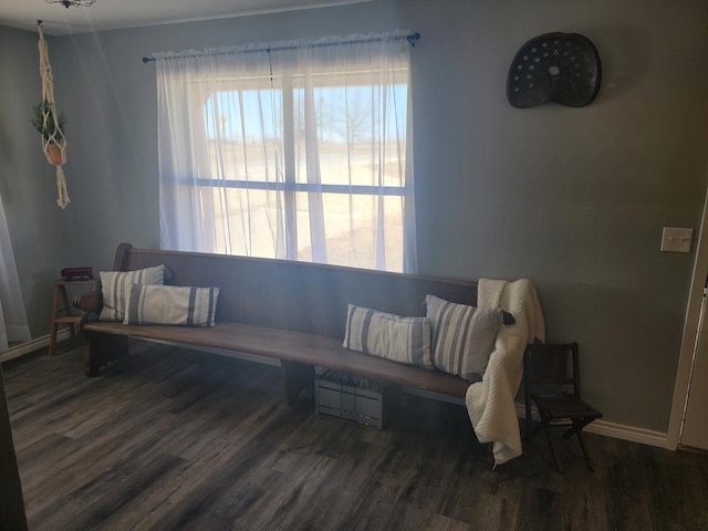 living area with dark hardwood / wood-style floors