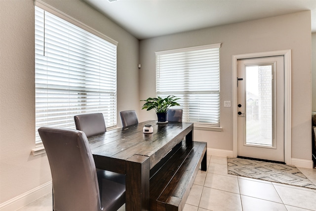 tiled dining room featuring plenty of natural light