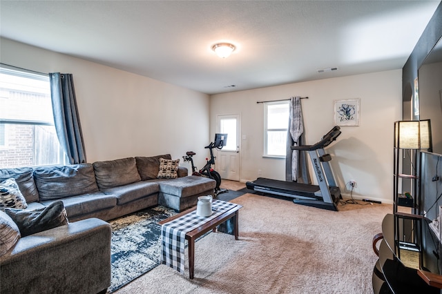 view of carpeted living room