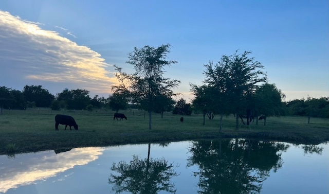 view of yard with a water view