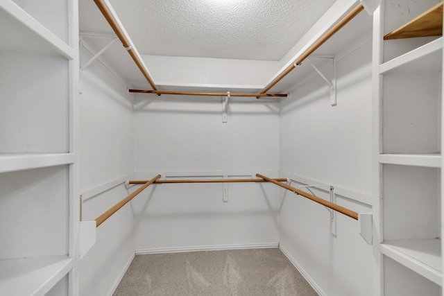 walk in closet with carpet flooring