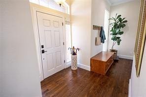 foyer entrance with baseboards and dark wood-style floors