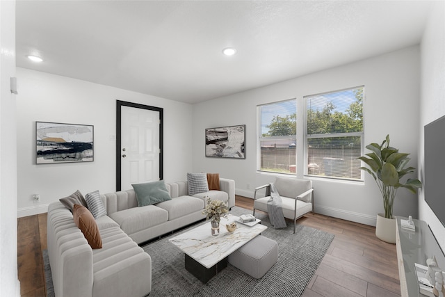 living room featuring wood-type flooring