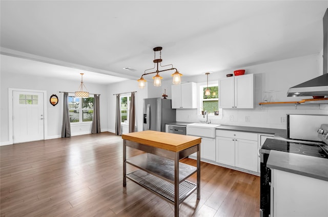 kitchen with plenty of natural light, stainless steel appliances, sink, and dark hardwood / wood-style flooring