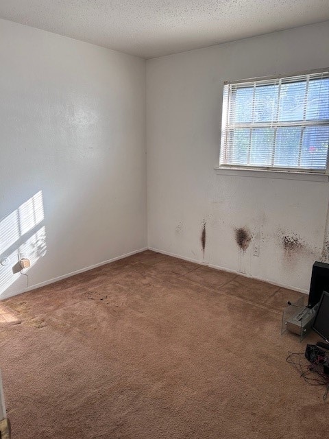 carpeted spare room featuring a textured ceiling