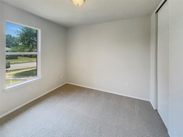 unfurnished room featuring a textured ceiling and carpet flooring