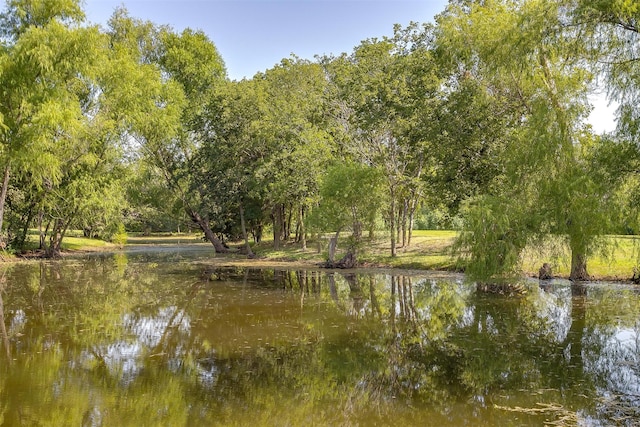 view of water feature