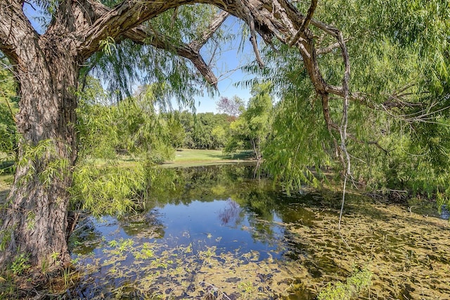 view of water feature