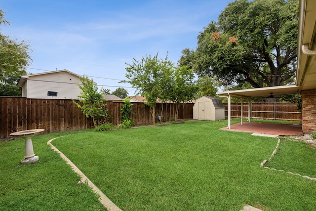 view of yard with a storage shed and a patio area