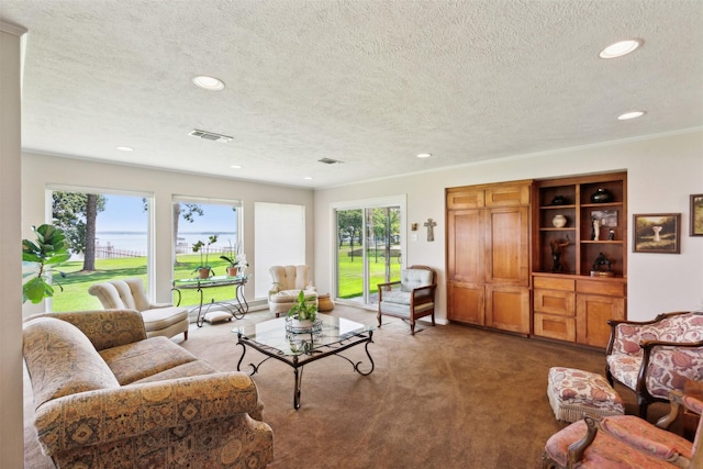 living room with carpet flooring, a textured ceiling, and a wealth of natural light