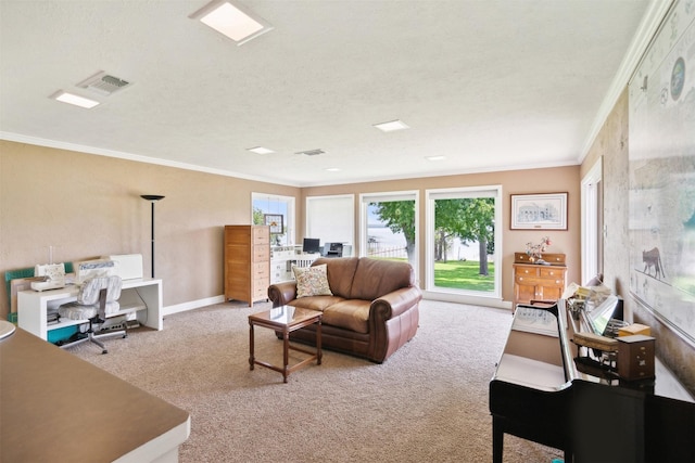 living room featuring crown molding, light colored carpet, and a textured ceiling