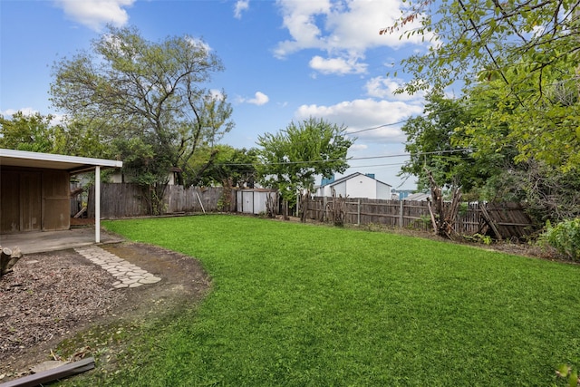 view of yard with a storage shed