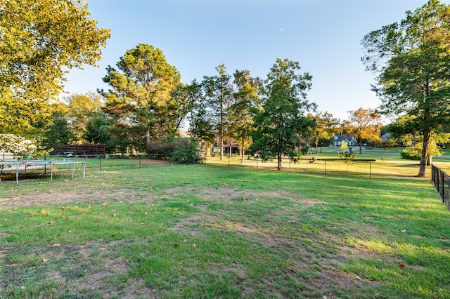 view of yard featuring a trampoline