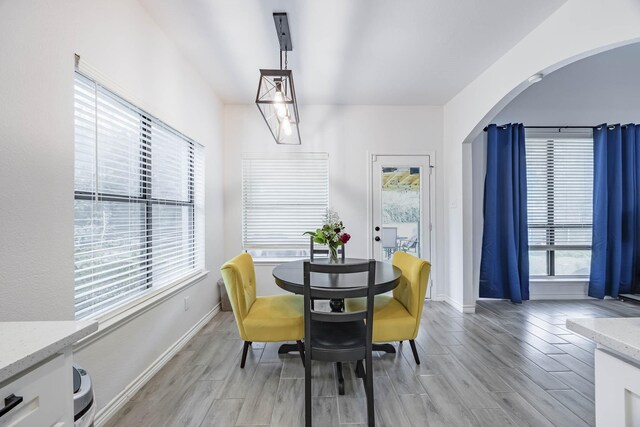 dining space featuring a wealth of natural light and light hardwood / wood-style flooring